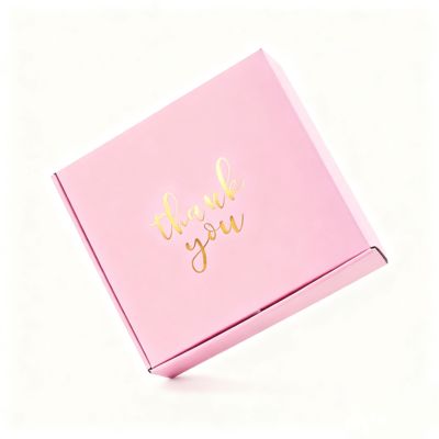 Corrugated Recyclable Biodegradable Gift Packaging Shoes Clothes Sponge Lined Postal Mailer Shipping