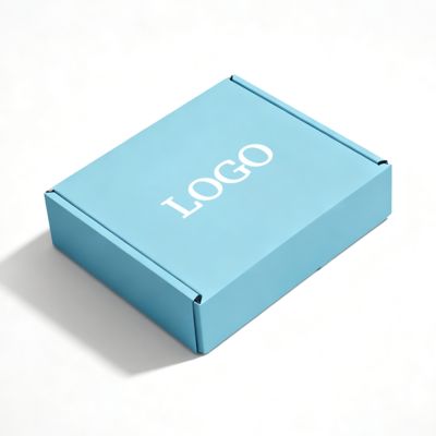 Custom Corrugated Paper Box For Shoes Clothes Folding Aircraft Shipping And Packaging With Glossy Lamination Sponge Liner